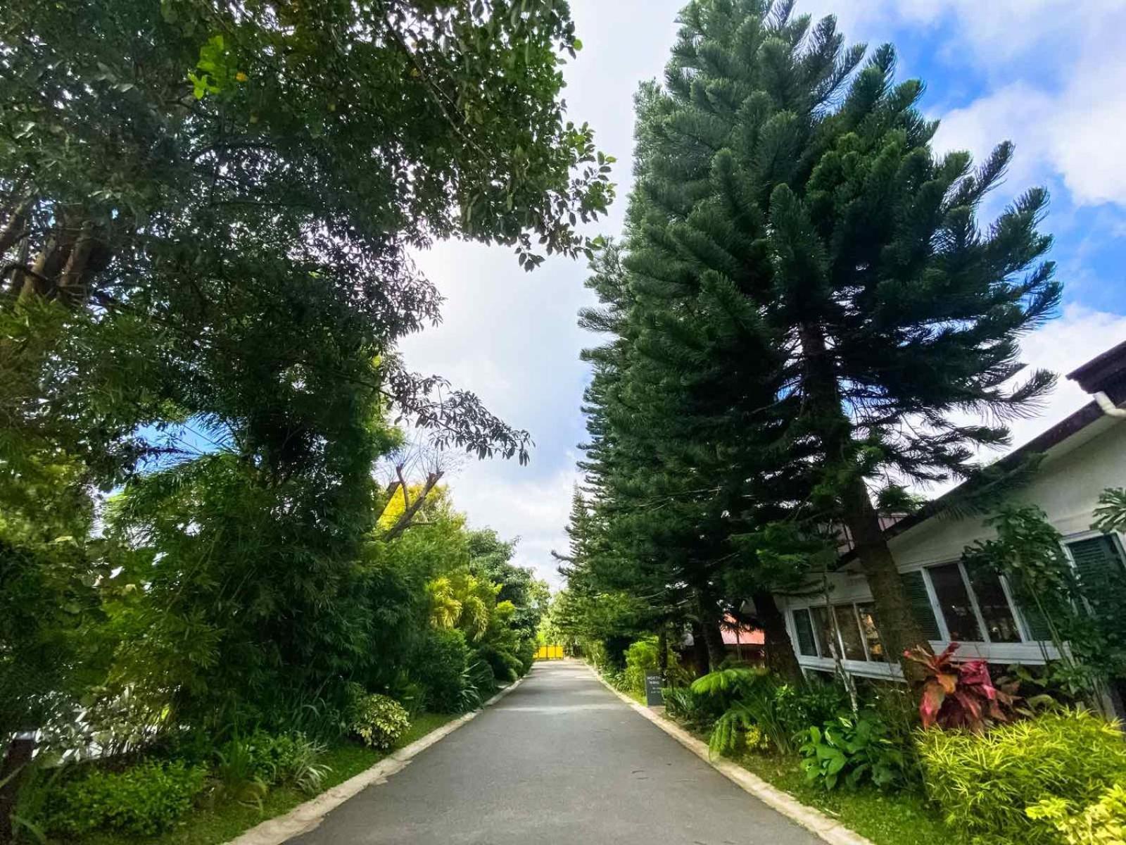 Hortz Hotels And Resorts Tagaytay City Exteriér fotografie